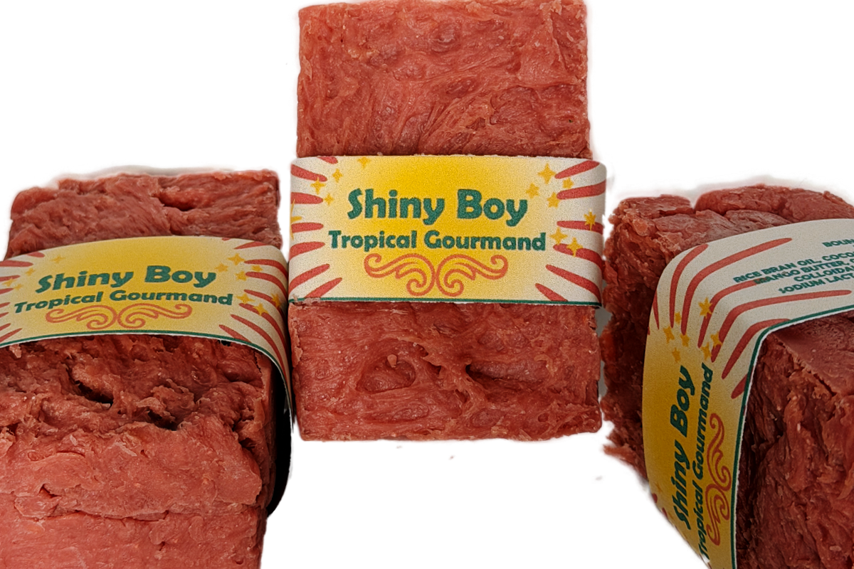 Three Shiny Boy coral soap bars grouped together on a white background, featuring the bold retro yellow sunburst label design