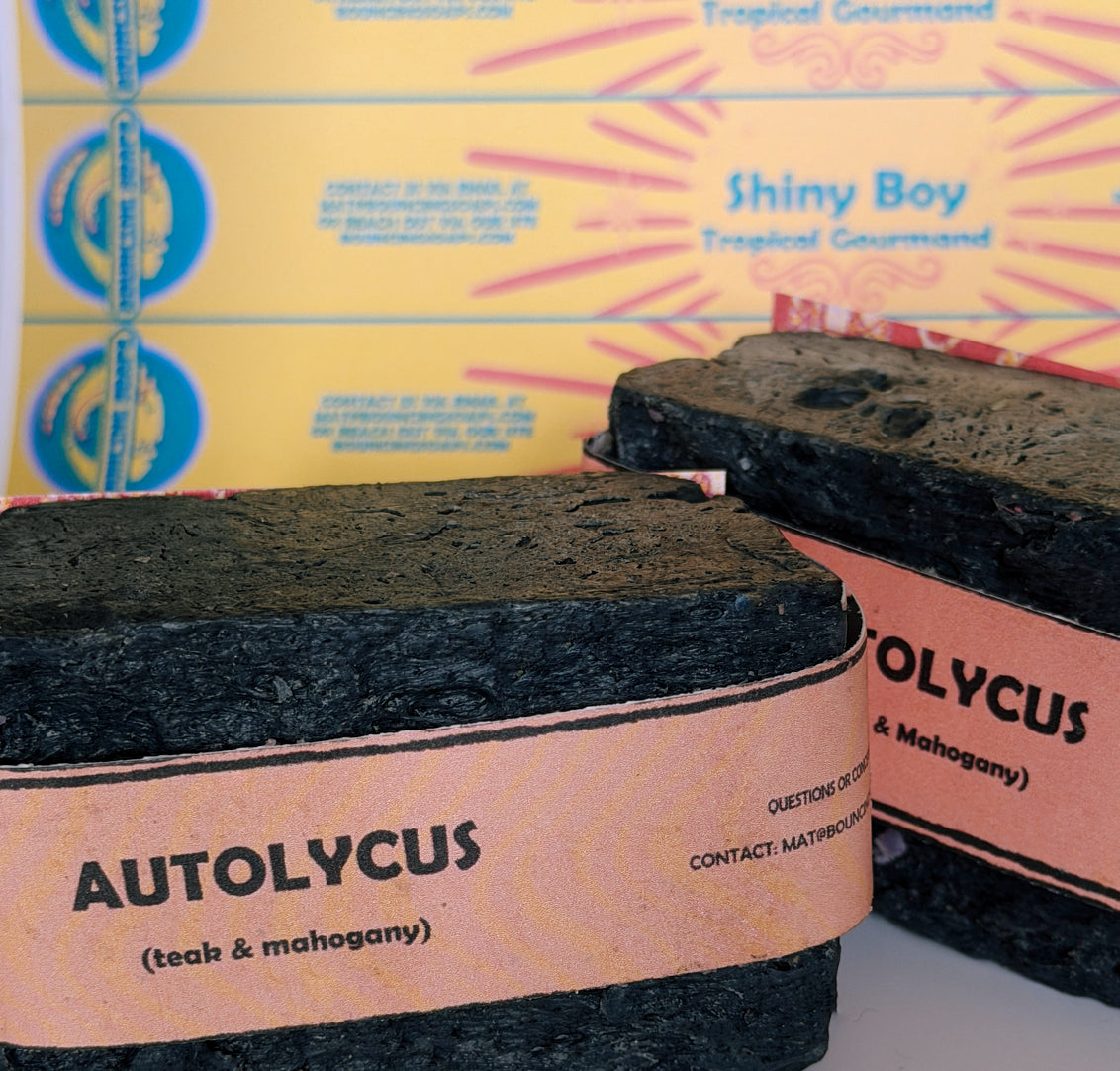 Two bars of Autolycus handmade soap by Bouncing Studio showing dark black texture