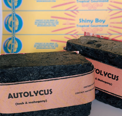 Two bars of Autolycus handmade soap by Bouncing Studio showing dark black texture