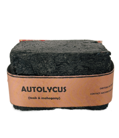 Single bar of Autolycus handmade soap by Bouncing Studio showing dark black texture