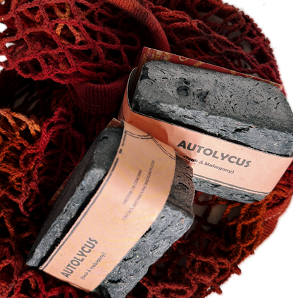 Assorted Bouncing Studio handmade bar soaps in a red rope basket including black bar of Autolycus soap